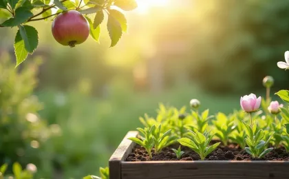 Gartenarbeit im Mai: Was jetzt zu tun ist
