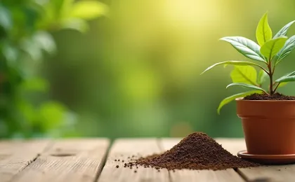 Kaffeesatz als Dünger: Für welche Pflanzen er geeignet ist