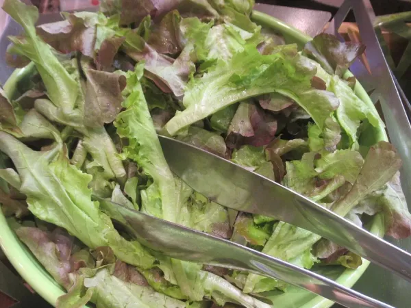 Kopfsalat