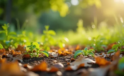 Laub als Mulch verwenden: So schützt du Beete und Hecken richtig