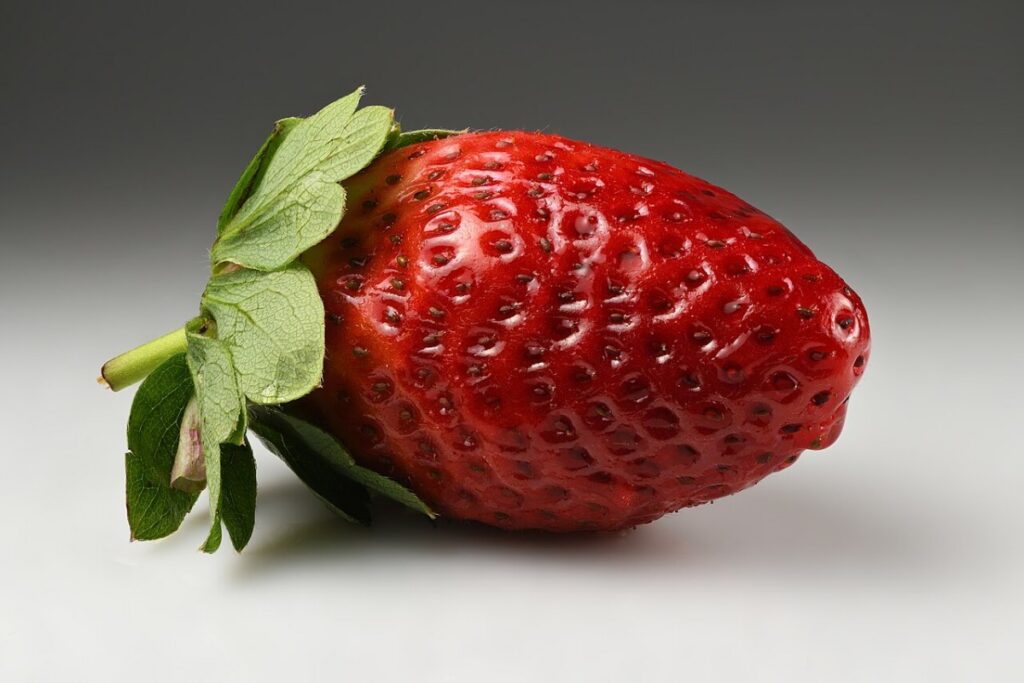 Erdbeere (Fragaria × ananassa) — Pflanzenfoto