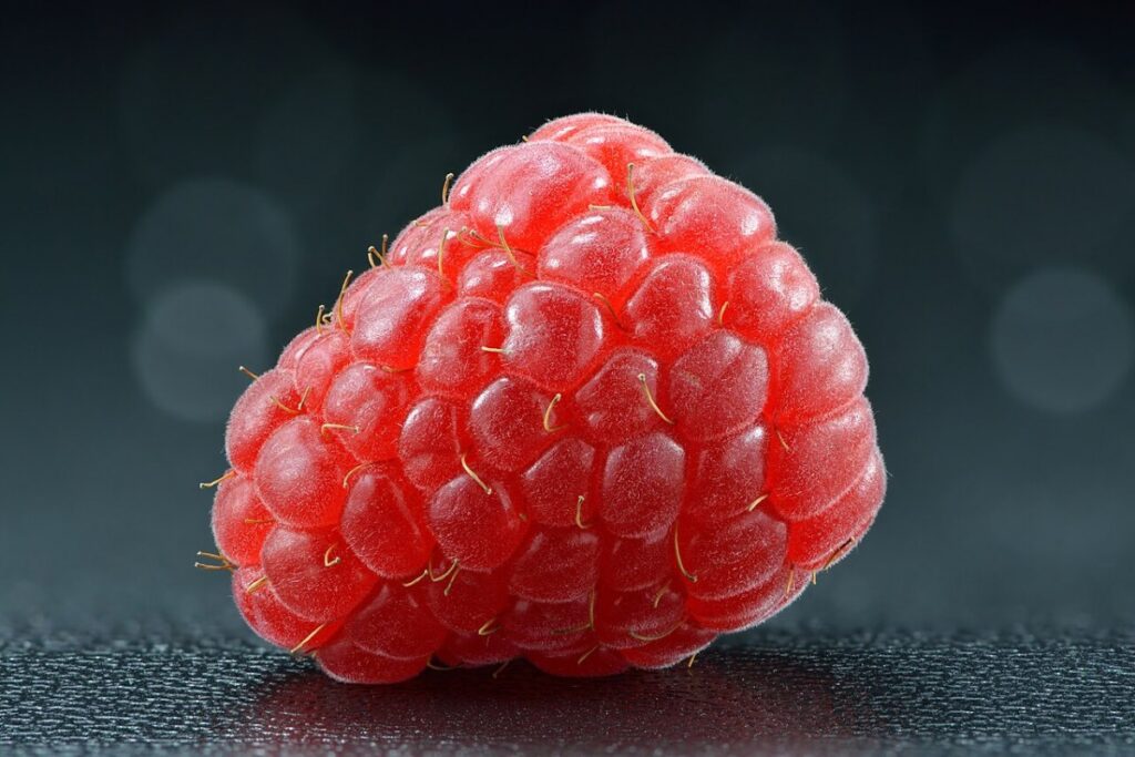 Himbeere (Rubus idaeus) — Pflanzenfoto