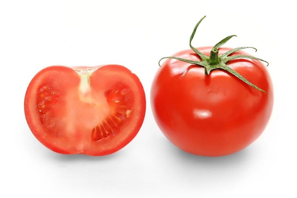 Tomate (Solanum lycopersicum) — Pflanzenfoto